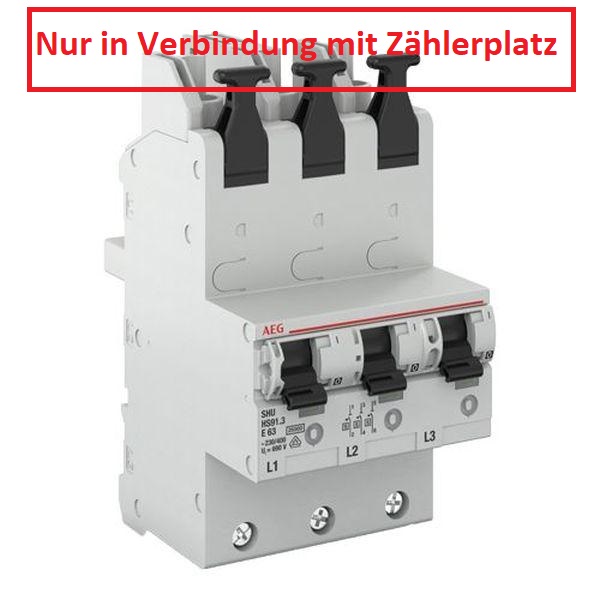 AEG SLS / HSA Schalter für die Sammelschiene 63A, 3-pol. AKTIONSARTIKEL