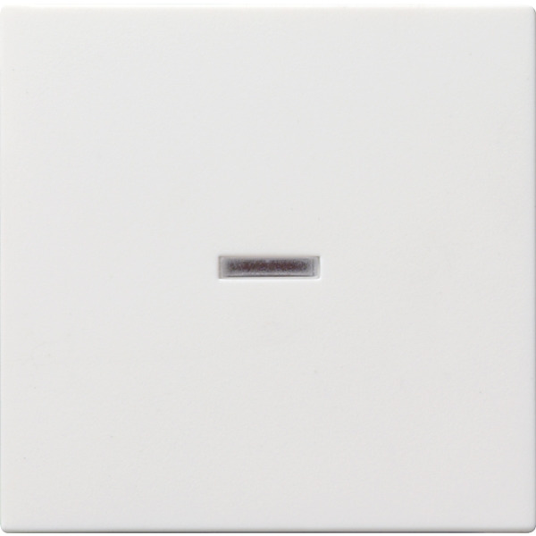 Gira Wippe Kontroll, 029003
